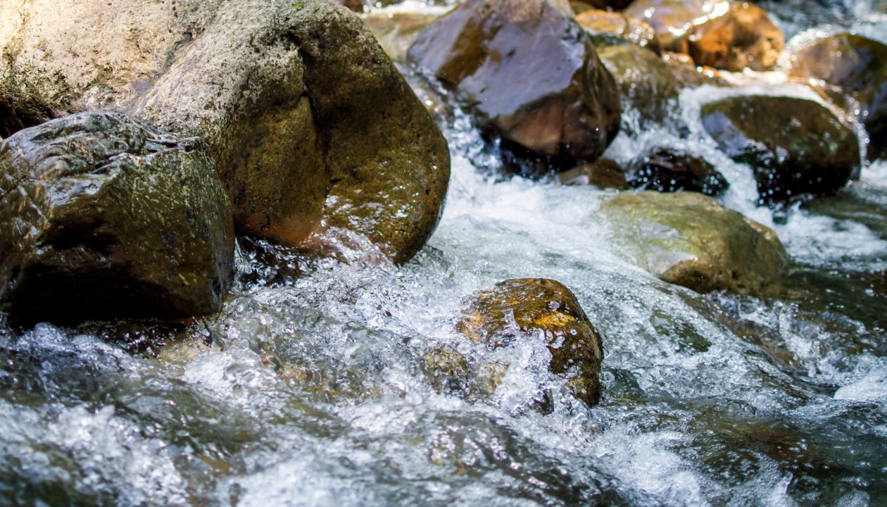 Clear water of a mountain stream among rocks